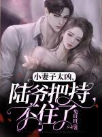 唐宝宝陆岩深大结局是什么