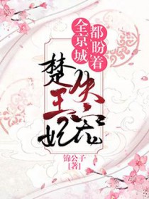 全京城都在盼着楚王妃失宠书评