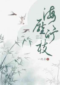 风吹海角晦还明