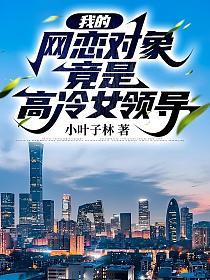 我的网恋女友是老板