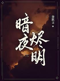 暗夜烬明主要内容