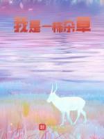 周叶鹿小元216集