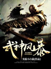武神风暴2