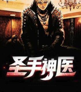 圣手神医叶枫无弹窗