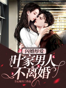 闪婚老公轻松点宠叶向晚