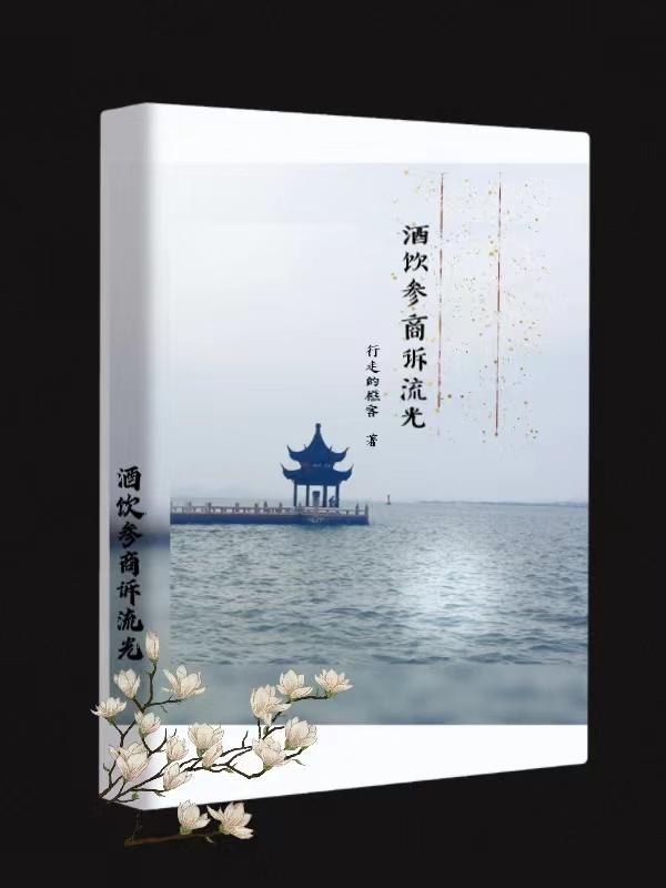酒饮参商诉流光战雪的故事简介