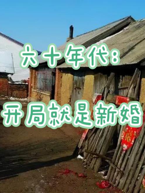 六十年代开局就是新婚栀虞1014 关注