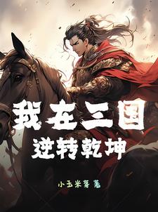 我在三国当逆贼飞卢