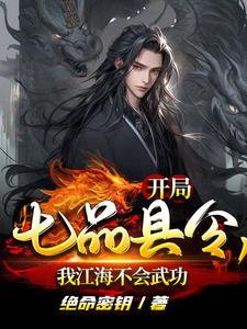 我江海不会武功类似的