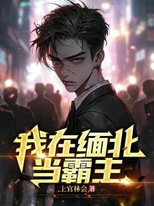 缅北抗日