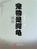 我的宠物是鳄龟作文