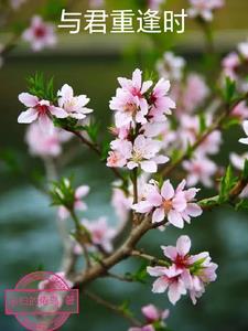 与君重逢时第6集