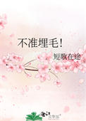 不准埋毛全文免费阅读