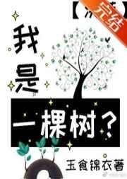 三毛来生做一棵树