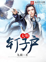 大明钉子户TXT奇书网