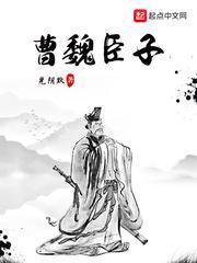 曹魏臣子最新章节