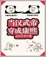 当汉武帝穿成康熙笔趣阁