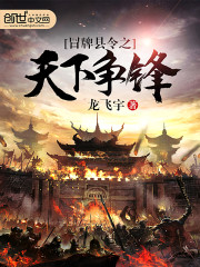 冒牌县令之天下争锋 百度百科