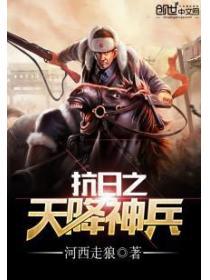 抗日之神鹰天降完本txt