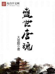 盛世魂文化传播有限公司
