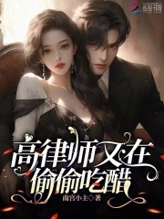 高冷律师