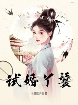 试婚丫鬟毕贵圆儿江书被谁占了身子