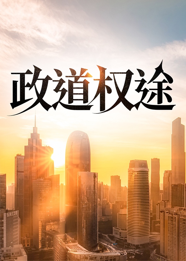 政道风云全文阅读官场