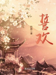 武侯实验中学是公立还是私立