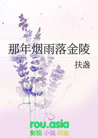 那年烟雨落金陵故事梗概