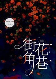 街角花巷(np)