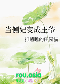 穿成侧妃或皇子侍妾的