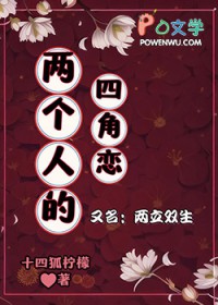 两个人的四角恋瓢猫