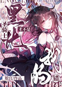 黑化圣骑士晋江